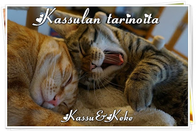 Kassulan tarinoita