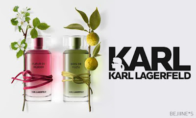 Nouveaux parfums matière - Karl Lagerfeld