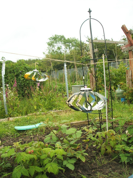 windspinners made with recycled cans on our allotment