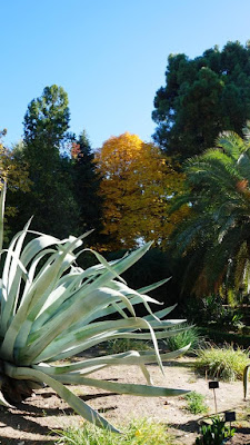 Jardín Botánico de Madrid