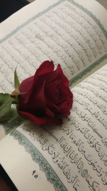 صور الورود مع القرآن الكريم