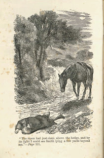 A full-page illustration of a horse and a fallen rider.