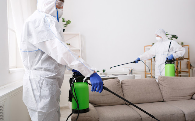 Electrostatic Disinfectant Sprayer Market Growth
