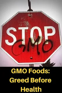 GMO Foods: Greed Before Health