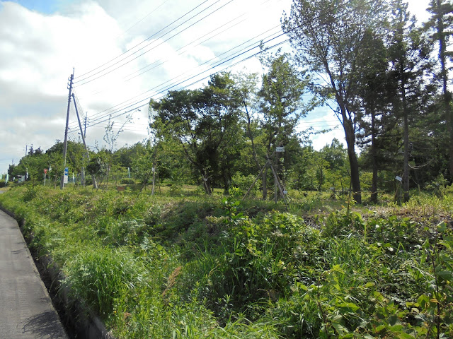 伯耆町 交流の森