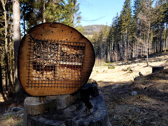 góry z dzieckiem - Śnieżnik - Masyw Śnieżnika - Wodospad Wilczki - podróże z dzieckiem - Kotlina Kłodzka - jak dojść na Śnieżnik - trasy na Śnieżnik - Korona Gór Polskich - Schronisko Na Śnieżniku