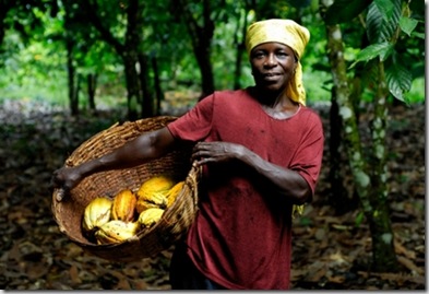 farmer-cocoa