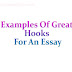 Examples Of Great Hooks For An Essay