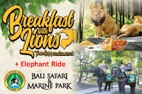 Breakfast with Lion including Elephant Back Safari.