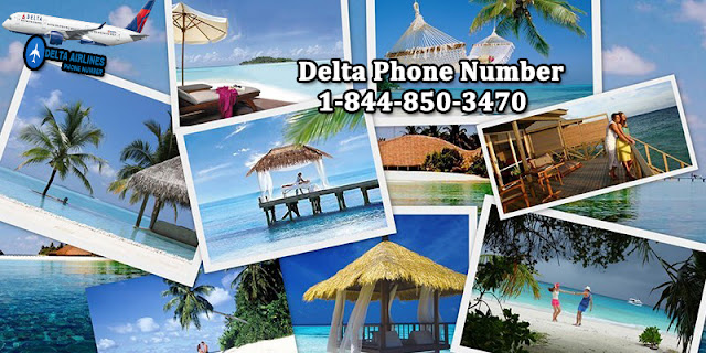 Delta Phone Number