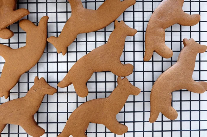 German Shepherd shaped gingerbread cookies cooling on rack