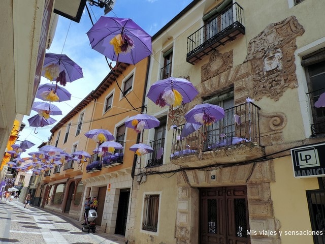 Brihuega, fiesta lavanda, Guadalajara