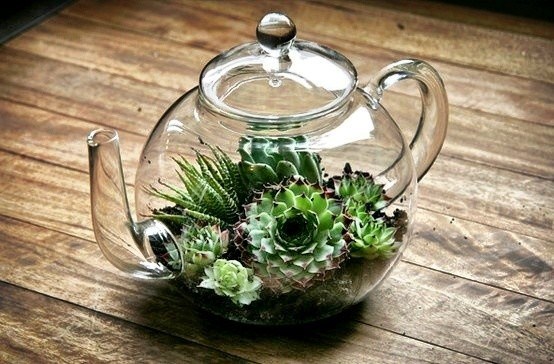 DIY easy and simple terrarium