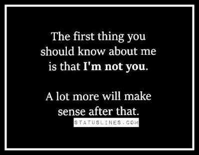 the first thing you should know about me is that im not you alot more will make sense after that