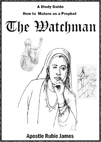 http://www.amazon.com/The-Watchman-ebook/dp/B00GDVKTY2/ref=sr_1_1?s=digital-text&ie=UTF8&qid=1383449742&sr=1-1