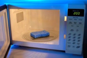 http://momsagainstcooties.com/want-to-help-keep-foodborne-illness-out-of-your-home-zap-that-kitchen-sponge/