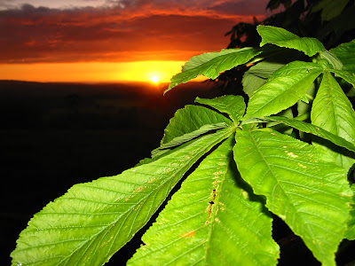wallpaper vista nature. wallpapers vista nature.