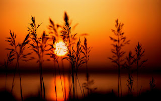 Beautifull SunSet HD Desktop Wallpaper Photos