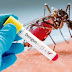Incidencia del dengue supera lo esperado; en lo que va de año hay 941 casos notificados
