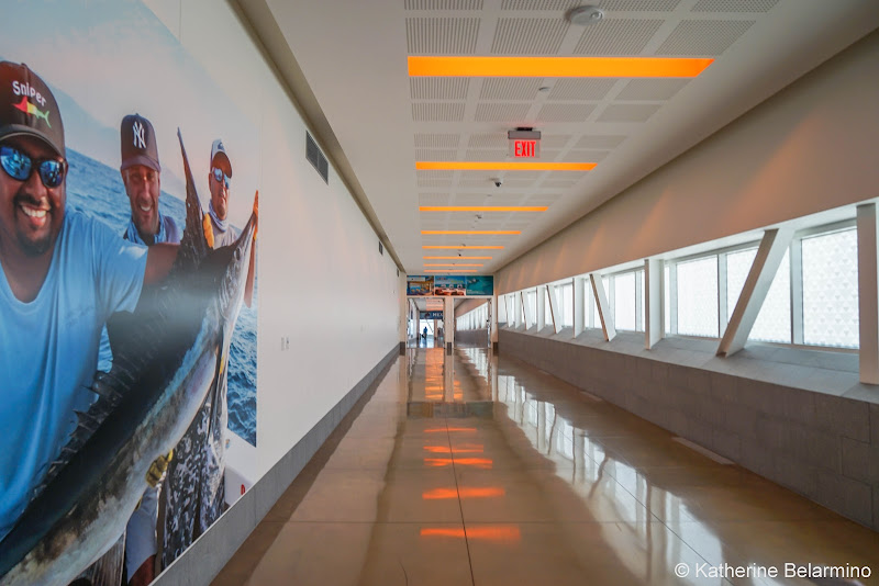 Cross Border Xpress Sky Bridge Tijuana Airport Bridge and Volaris