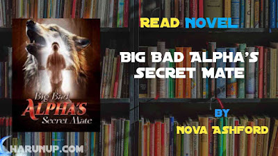 Read Big Bad Alpha's Secret Mate Novel Full Episode