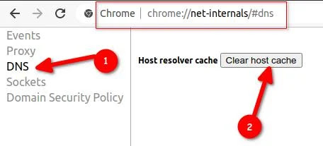 chrome-net-internal-dns