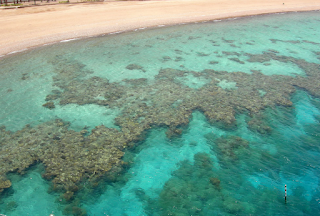 Fringing reefs