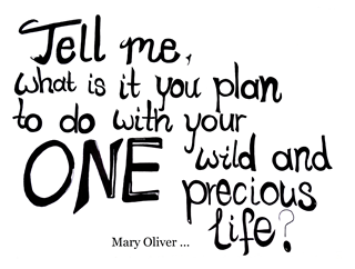 Mary Oliver.