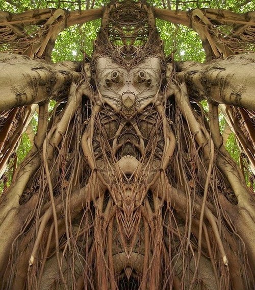02-Elido-Turco-Mirrored-Faces-in-Tree-Photography-www-designstack-co