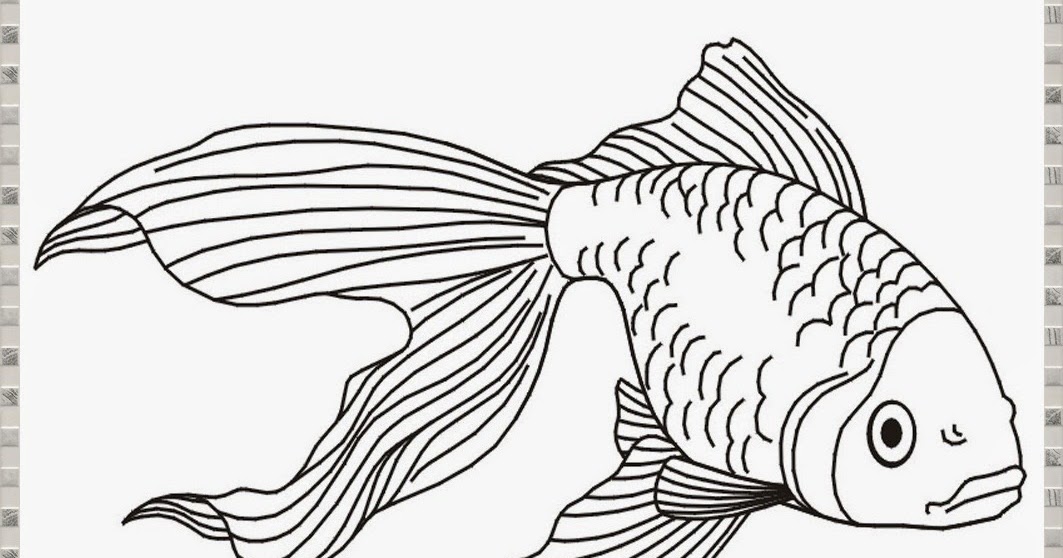 Mewarnai Gambar Sketsa Ikan Koi Hitam Putih Terbaru KataUcap