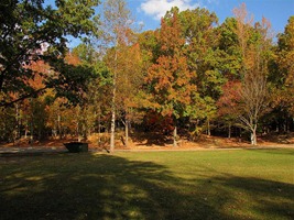 IMG_9653 (Medium)