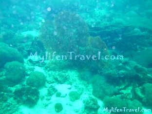 Koh Lipe Diving 41