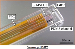 Prinsip Kerja ISFET - Ion Sensitive Field-Effect Transistor