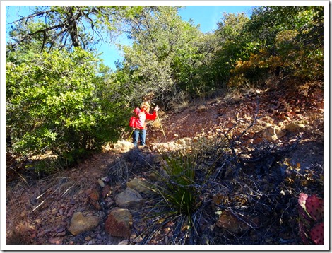 Lost Mine Trail...Big Bend
