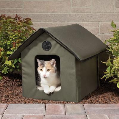 Creative Cat Houses and Cool Cat Bed Designs