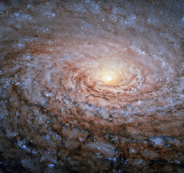 galaksi-bunga-matahari-informasi-astronomi