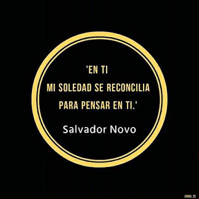 Amor - Salvador-Novo
