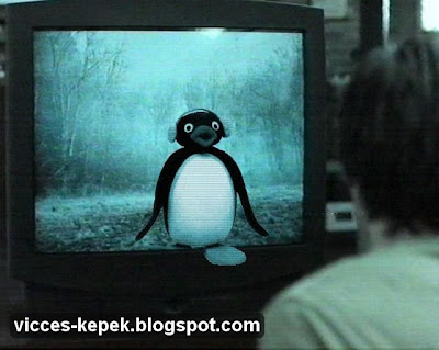 Pingu képek