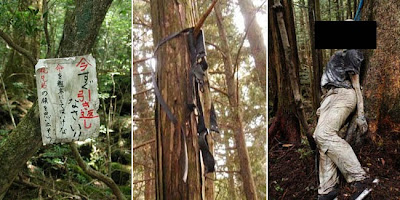  Hutan Paling Angker & Misterius di Dunia 5 Hutan Paling Angker & Misterius di Dunia