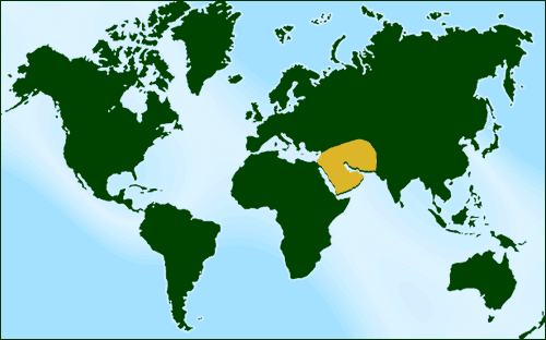 world globe map. world map globe australia.