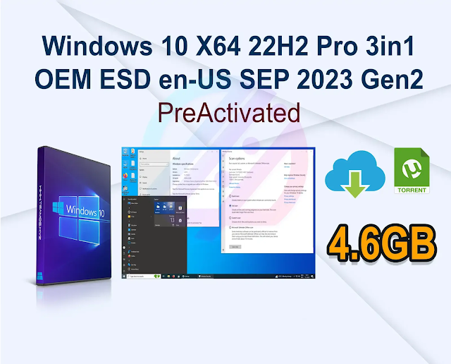 Windows 10 X64 22H2 Pro 3in1 OEM ESD en-US SEP 2023 Gen2