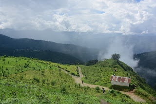 A view of the tea garden