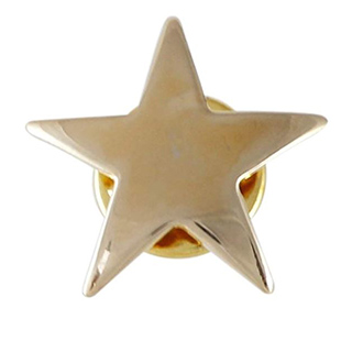 Gold Star Lapel Pin- 1 Piece...