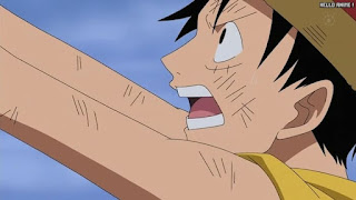 ワンピースアニメ 頂上戦争編 462話 ルフィ Monkey D. Luffy | ONE PIECE Episode 462