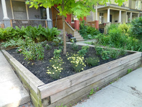Leslieville Toronto Front Garden Weeding and Makeover After by Paul Jung Gardening Services--a Toronto Organic Gardener