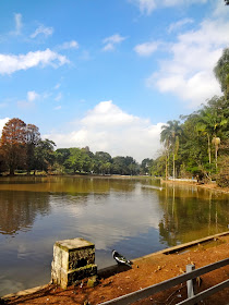 Horto Florestal de São Paulo ou Parque Estadual Albert Löfgren