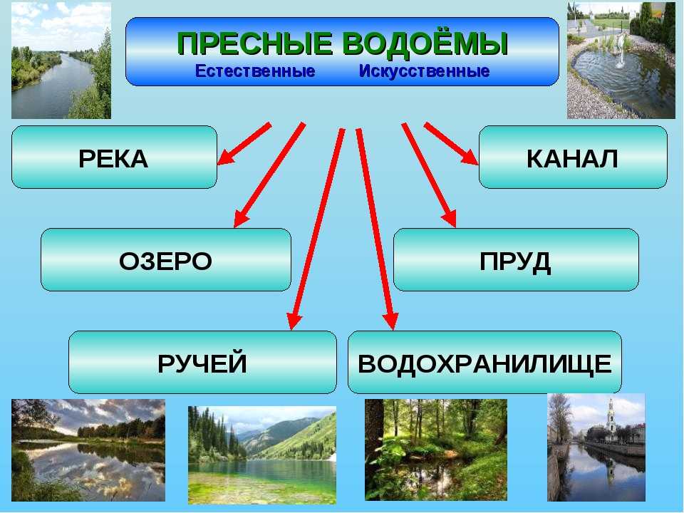 Сравните озеро и реку. Естественные и искуственные водоёмы. Водоемы бывают искусственные и Естественные. Пресные водоемы. Виды водоемов.