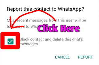 whatsapp Report Form