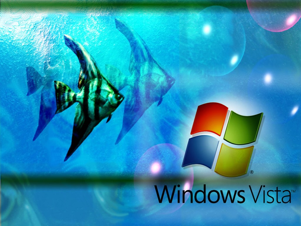 How To Installing Windows Vista