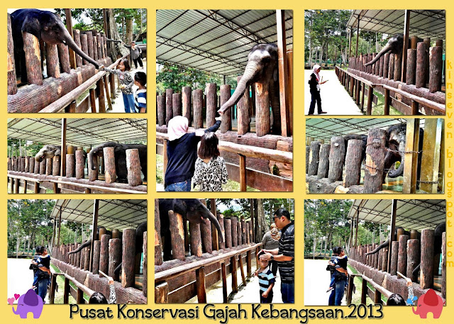 Pusat Konservasi Gajah, Lanchang Pahang.